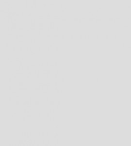 Light gray placeholder image