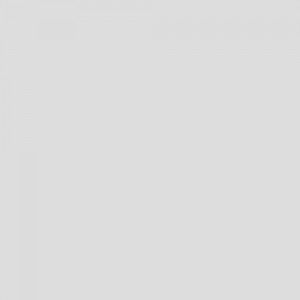Gray square placeholder image, no content