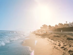 Sunny sandy beach with waves and palm trees