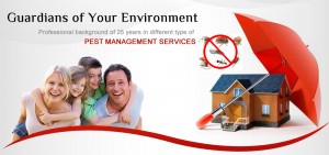 Family protected by pest control umbrella