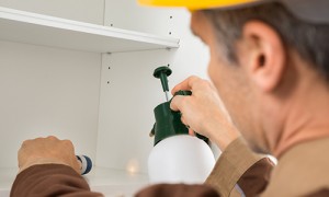 Pest control technician spraying inside cabinet
