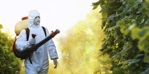 Person in protective suit spraying crops