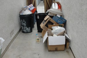 Overflowing garbage bins and cardboard boxes in alley