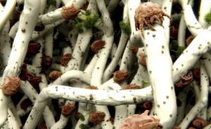 Microscopic dust mites on fabric fibers