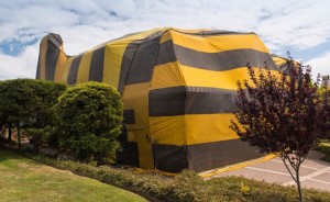 Termite treatment Corona Del Mar - Preferred Pest Control OC