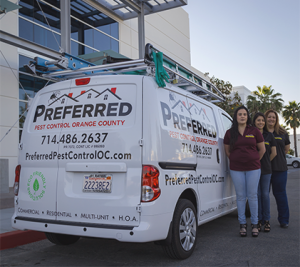 Pest control team standing beside company van