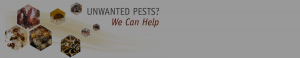 Banner showing common household pests