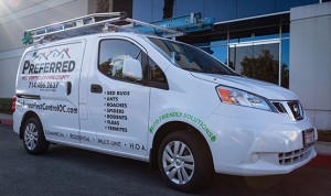 How to prevent rodents in Newport Beach - Preferred Pest Control