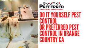 Kitchen sink infested with cockroaches