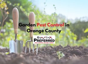 Garden tools in soil with pest control logo