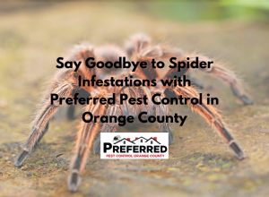 Close-up tarantula with pest control ad