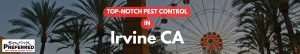 pest control in irvine ca