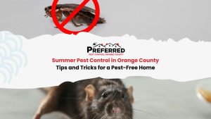 orange county pest control