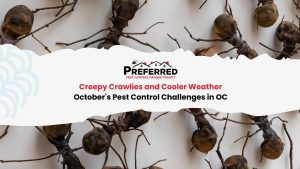 October pest control header with dried pods