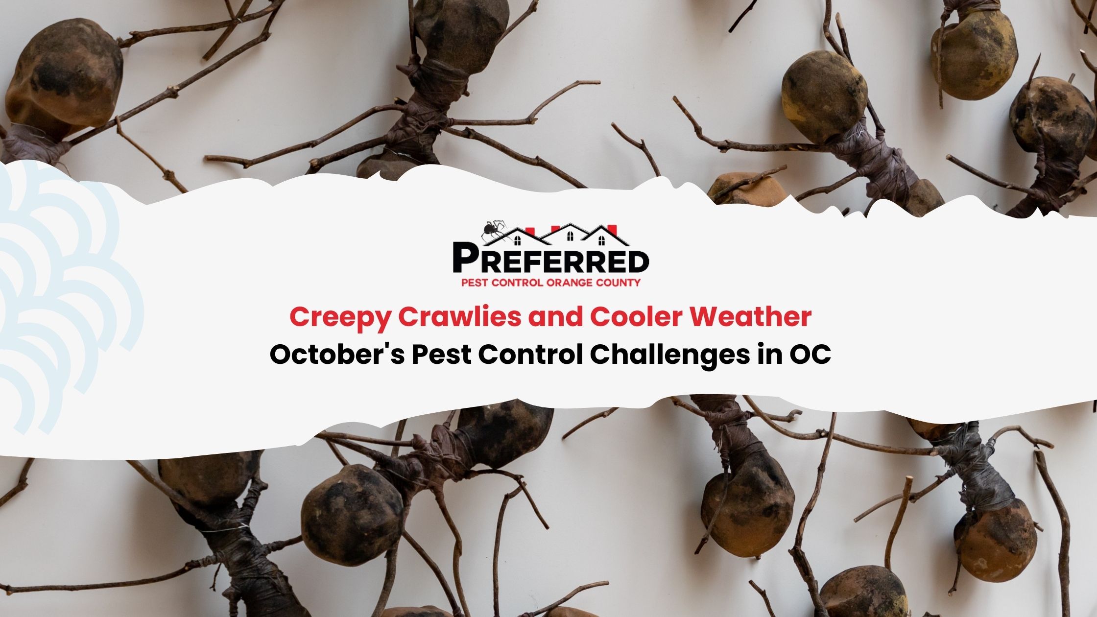 October pest control header with dried pods