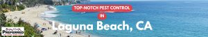 Laguna Beach coastline with beachgoers