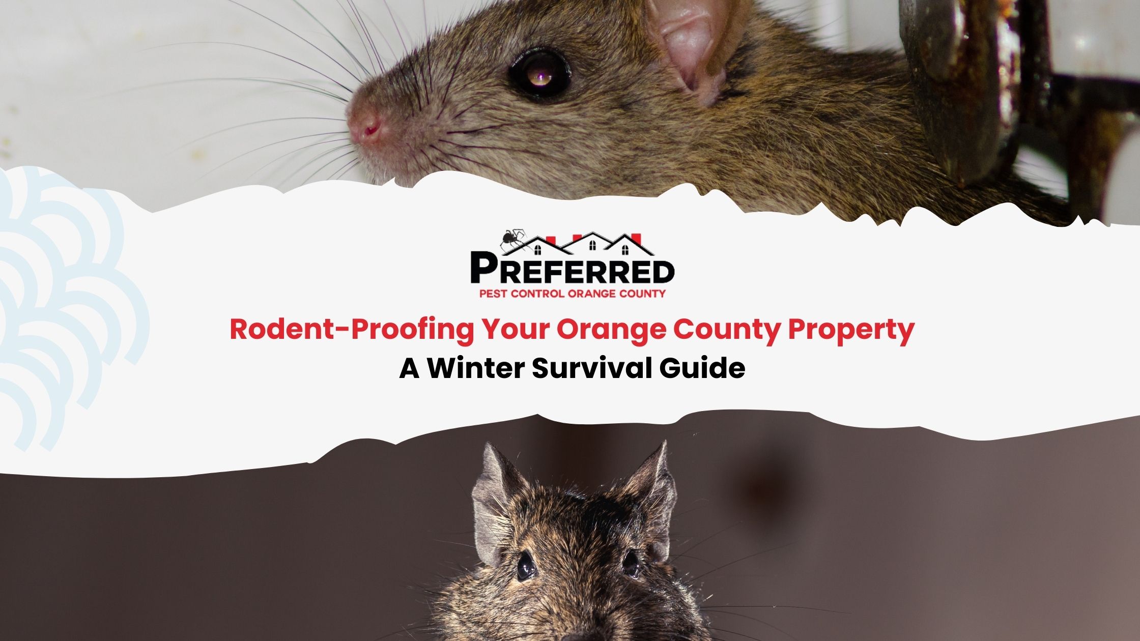 Close-up rodent above pest control header