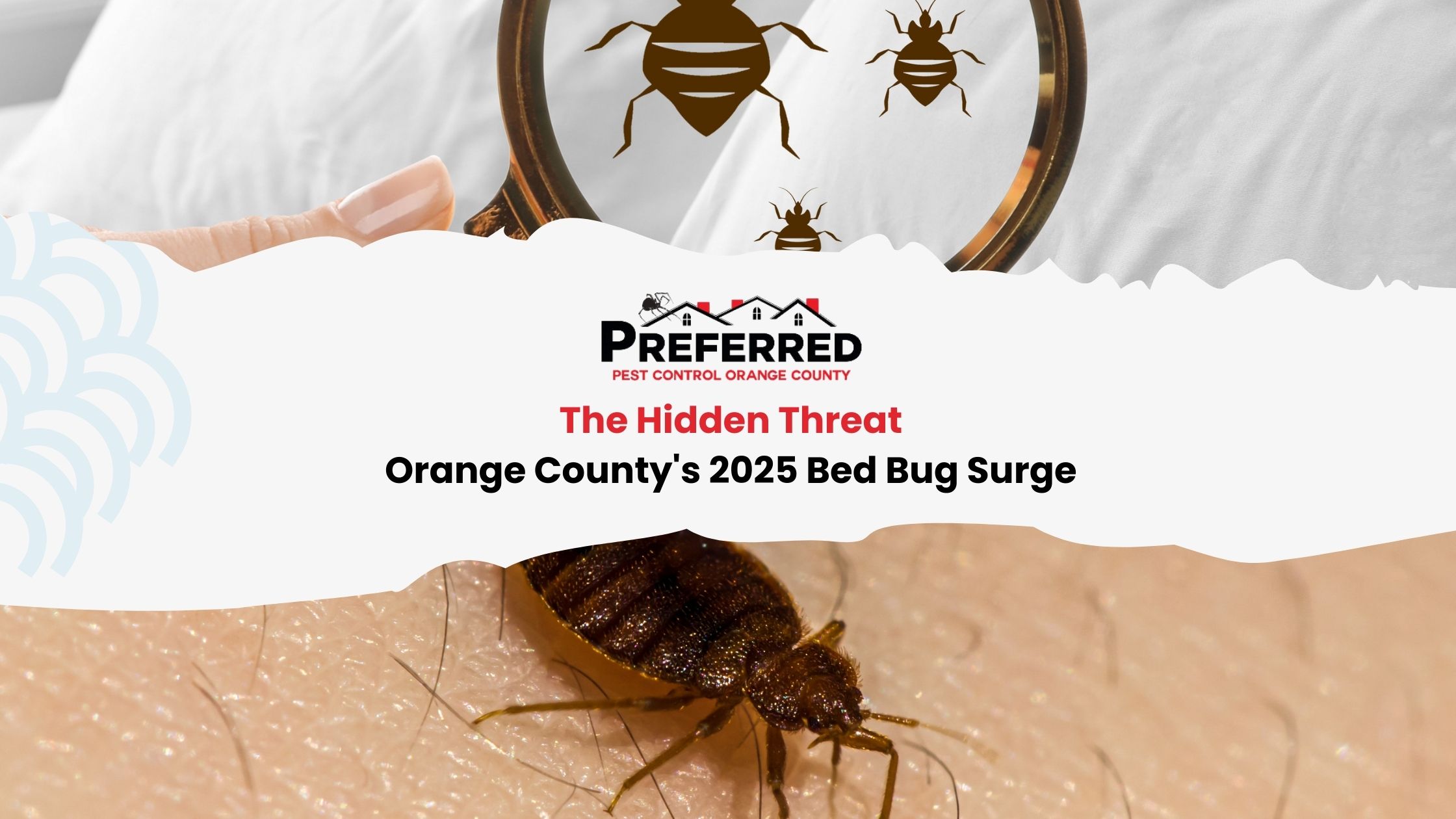 Close-up bed bug on human skin