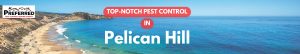 Pelican Hill coastline with pest control banner