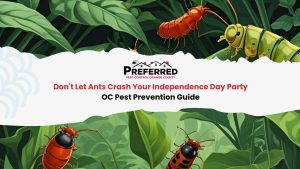 Pest control banner with cartoon ants