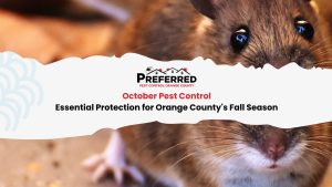 Mouse close-up with pest control banner