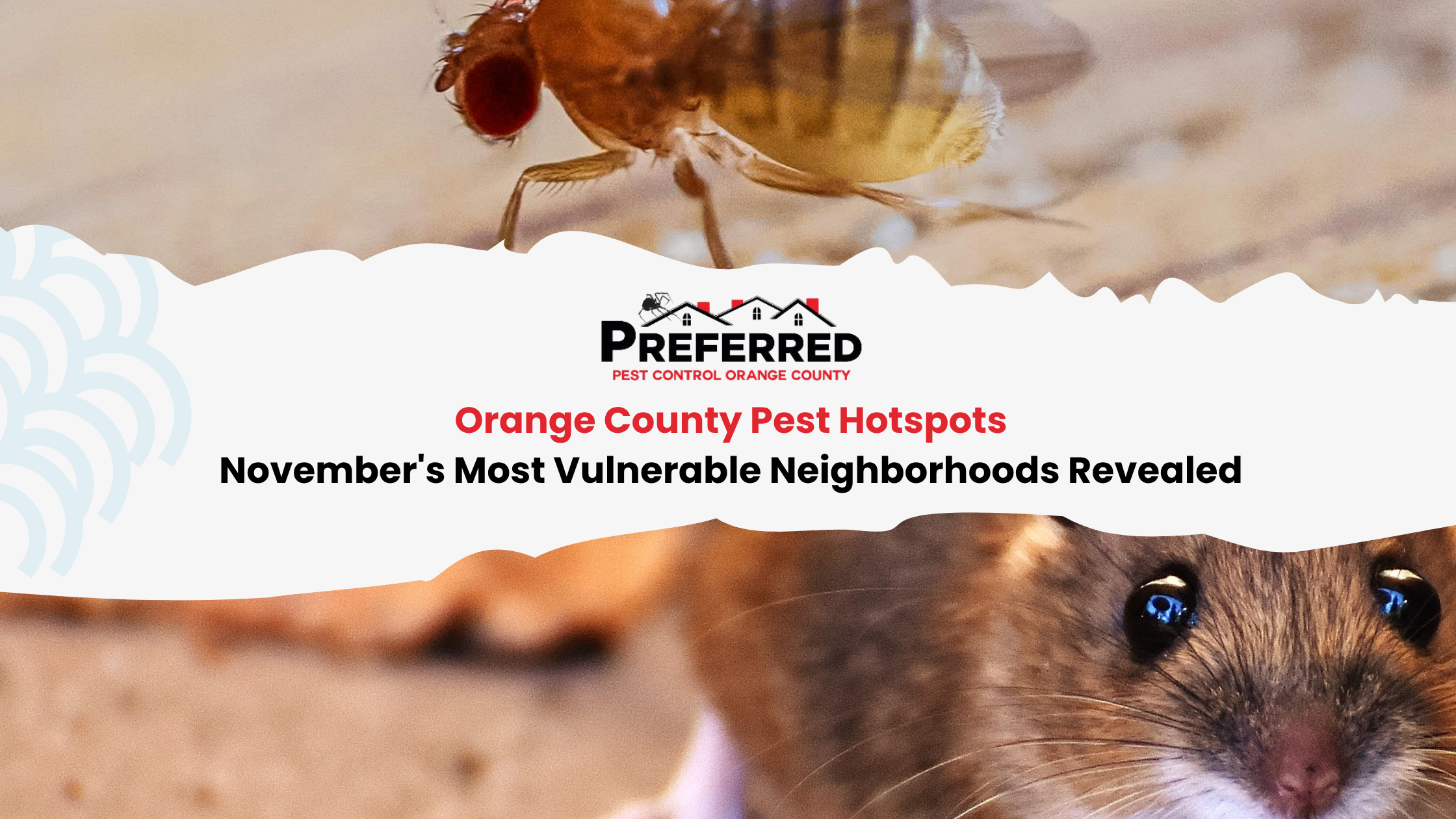Preferred Pest Control header with rodent close-up