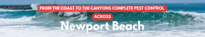 Large ocean waves breaking at Newport Beach