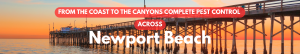 Newport Beach wooden pier at sunset