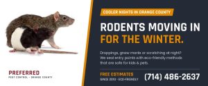 Rodents moving in for the winter - rodent control in Orange County by Preferred Pest Control