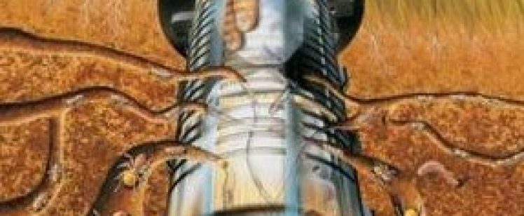 How to Kill Termites