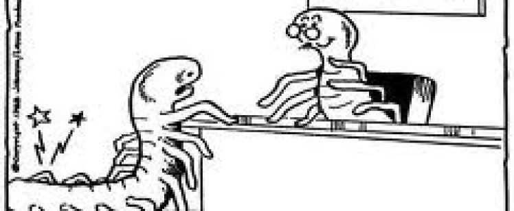Centipede patient at podiatrist’s office