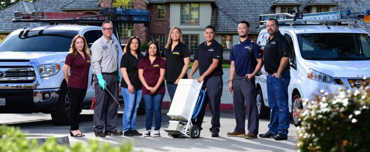 Residential cleaning team with equipment