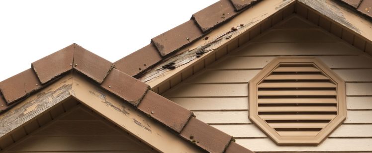 Treating Termite Infestation in New Construction