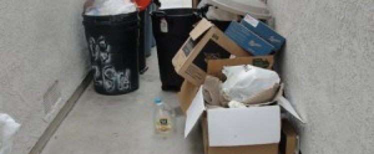 Garbage cans and cardboard boxes in alley