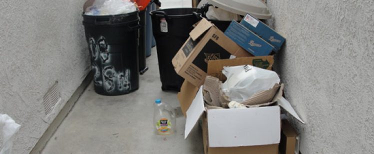 Overflowing garbage bins and cardboard boxes in alley