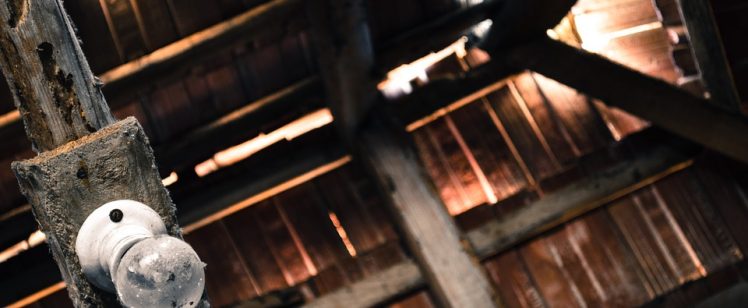 Pest-Proofing Your Attic