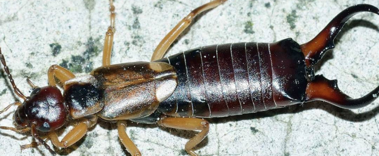 Be Prepared for Spring