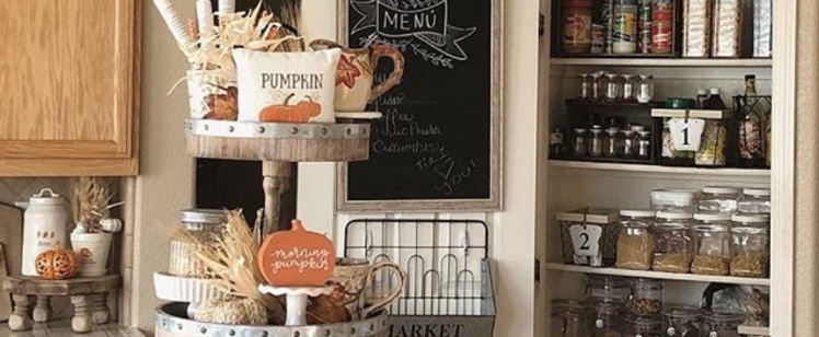 Pantry Pests Cause a Lot of Thanksgiving Headaches
