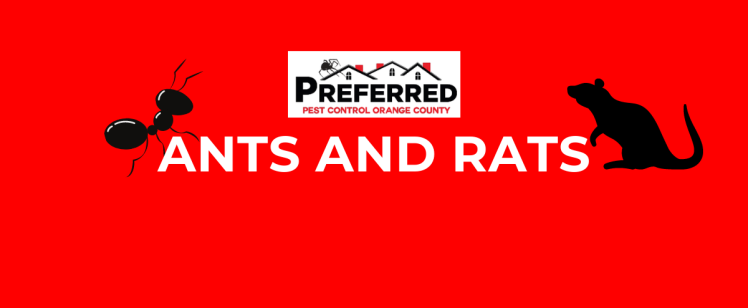 Ants and Rats – Call The Pest Control Experts