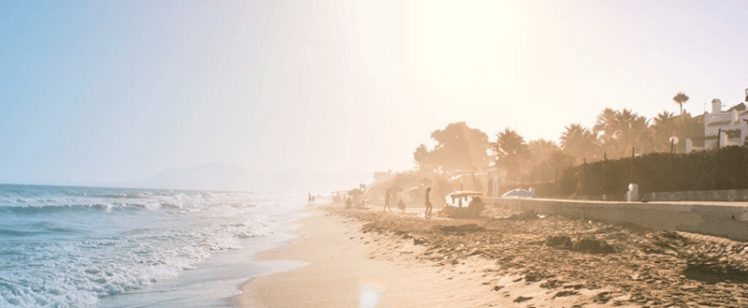 Sunny sandy beach with waves and palm trees