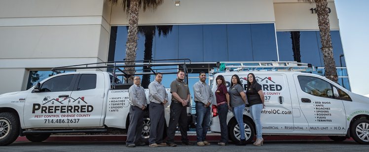 Pest control crew with branded trucks