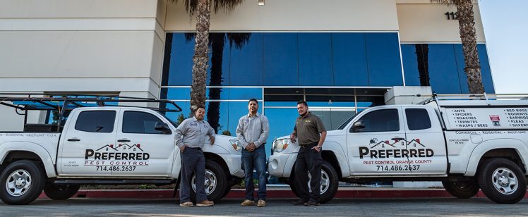 Pest control trucks and three technicians