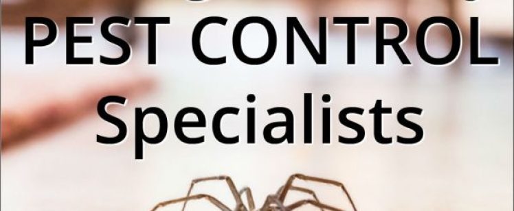 Spider on floor with pest control ad