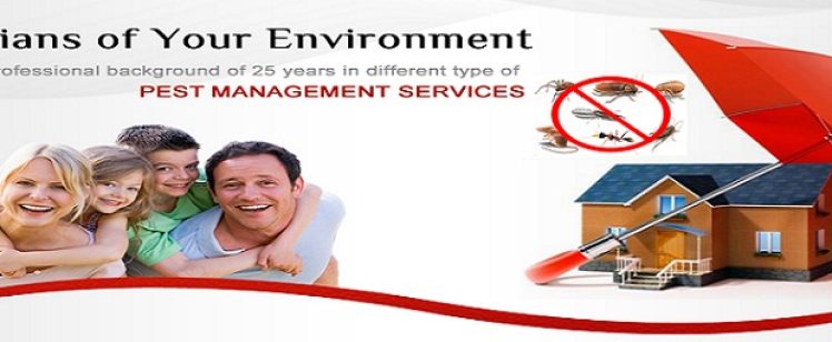 Family and house protected from pests