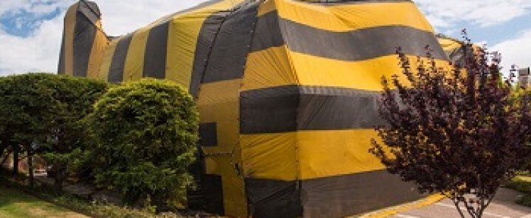 Yellow and black striped wrapped building
