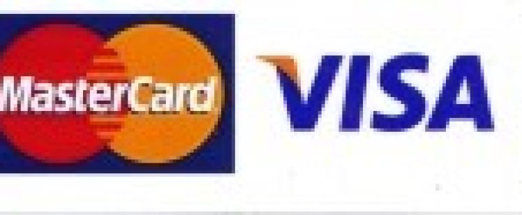Accepted payment logos: AmEx, Mastercard, Visa, Discover