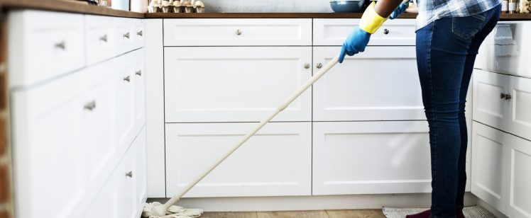 Spring Cleaning: Are Your Prepared for Warm Weather Pests in OC?