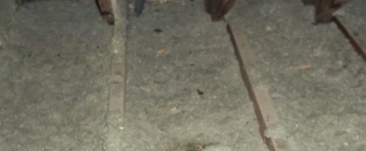 attic with blown-in insulation and wood joists