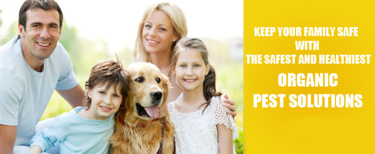 Family with golden retriever and pest-free message