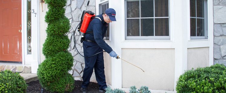 Worker applying treatment around bay window and shrubs